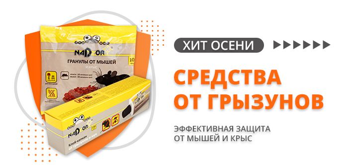 Дождевики